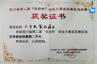 天府杯二等獎